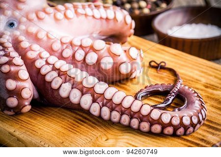Whole Fresh Raw Octopus   With Tentacles Closeup
