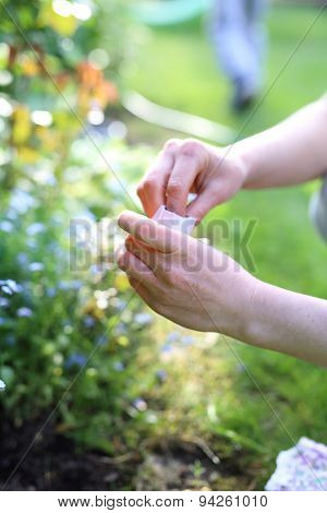 Women in garden