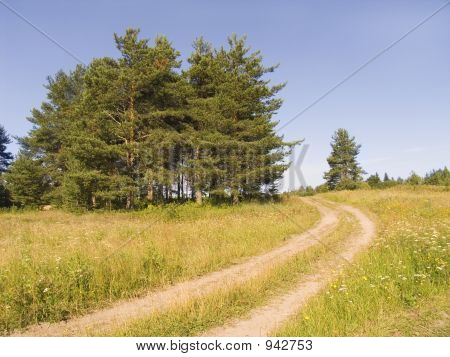 Strada di campagna