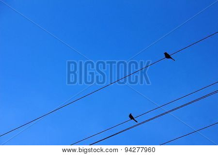 Two Birds On Power Transmission Lines Against Bright Blue Sky