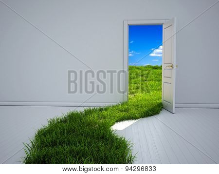 Empty room with opened door and green grass path to the field