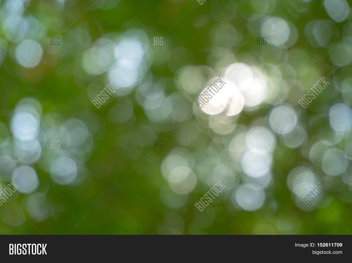 Green Tree / Blurred Image & Photo (Free Trial) | Bigstock