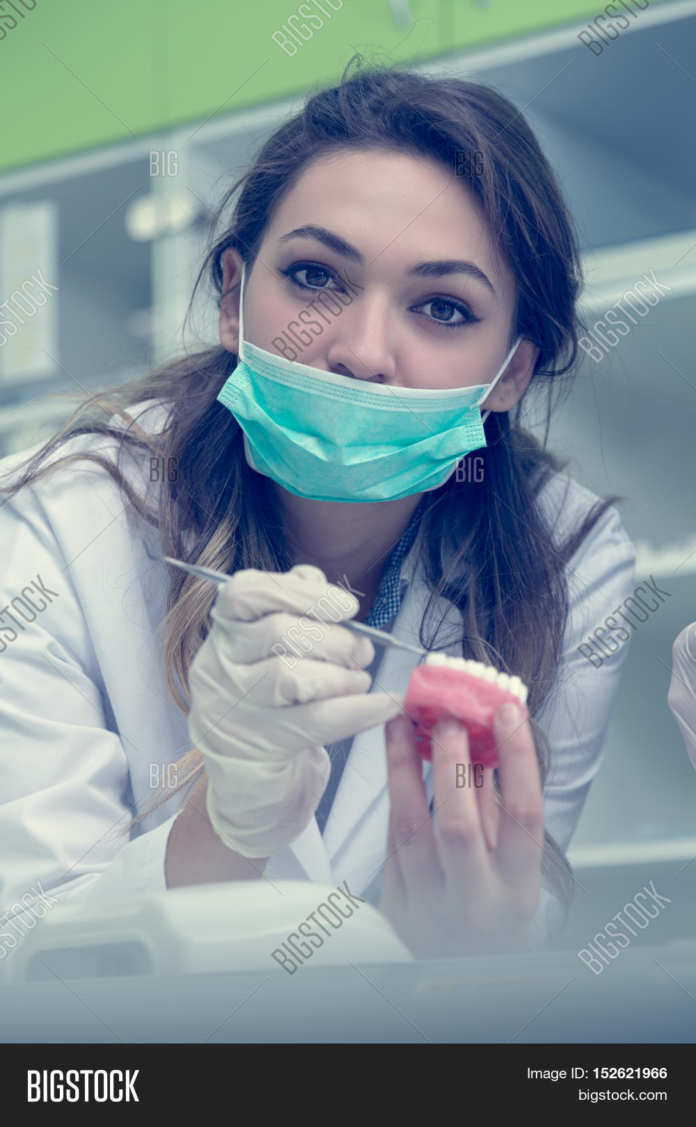 Dental Prosthesis Image & Photo (Free Trial) Bigstock