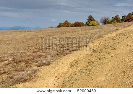 Autumn Panorama with yellow trees of Cherna Gora mountain, Pernik Region, Bulgaria