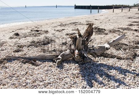 Driftwood sits on a rocky beach in Orient NY
