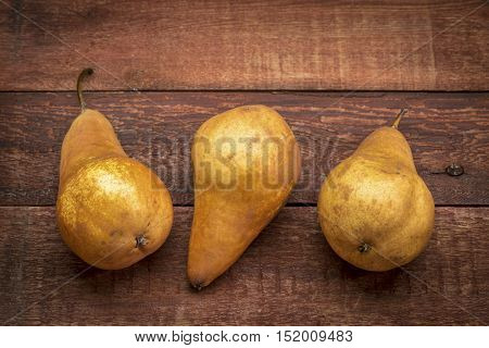 three bosc pears against rustic red painted barn wood