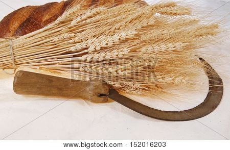 bunch of mown wheat ears with vintage handmade reaper hook sickle and rye dark white french fresh bread loaf on light linen tablecloth