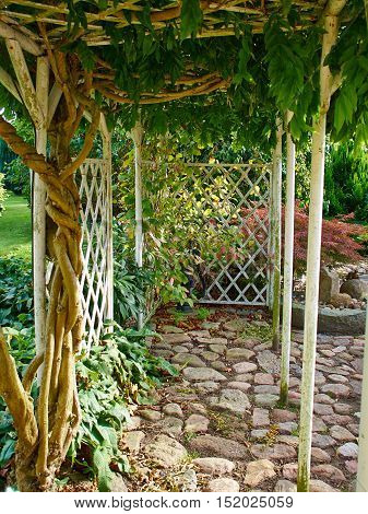 Wooden pergola gazebo in a beautiful blooming garden full of flowers and green plants