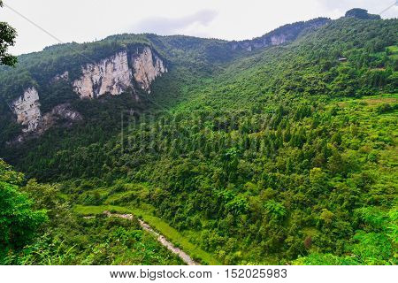 Wulong Karst limestone rock formations in Longshui Gorge Difeng, an important constituent part of the Wulong Karst World Natural Heritage. China