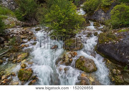 Stream in the tropical jungle and rain forest