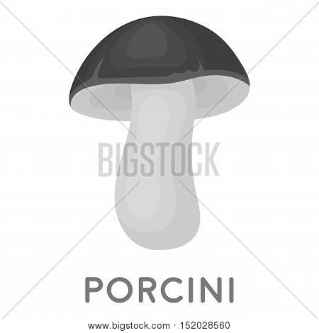 Porcini icon in monochrome style isolated on white background. Mushroom symbol vector illustration.