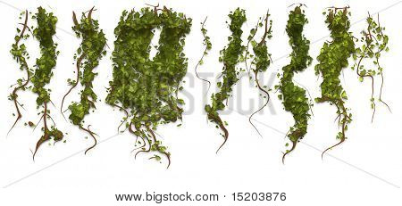 En illustration af nogle ivy textur mønster