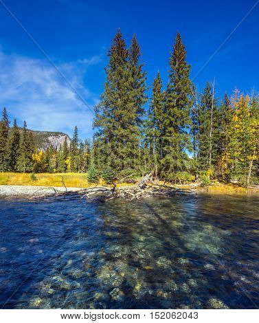 Rocky Mountains, Canada. Mountain valley, forest and beneaped river near the town of Banff