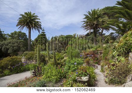 Abbey Gardens, Tresco, Isles of Scilly, England