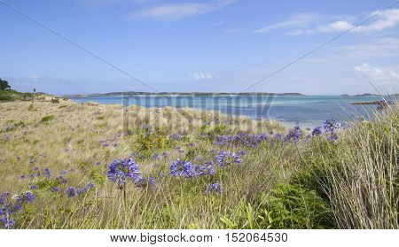 Pentle Bay, Tresco, Isles of Scilly, England