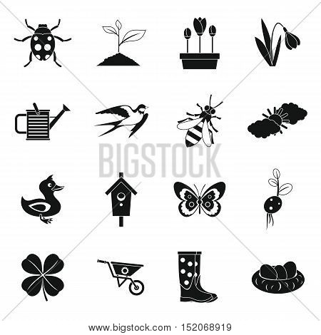 Spring icons set. Simple illustration of 16 spring vector icons for web