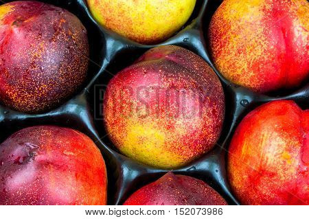 Ripe nektarines arranged in fruit nest tray
