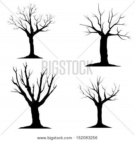 tree without leaves, died tree, dry tree silhouette