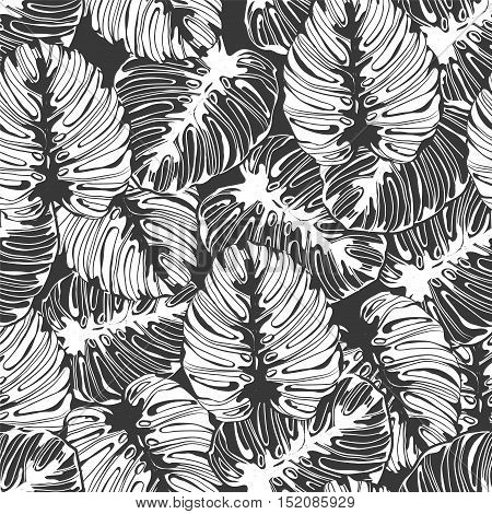 Tropical seamless vector pattern in fashion trend black and whitecolor palette. Hand-drawn monochrome leaves.