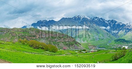 The juicy green meadows are the perfect pastures located on the slopes of Greater Caucasus Range Stepantsminda Georgia.