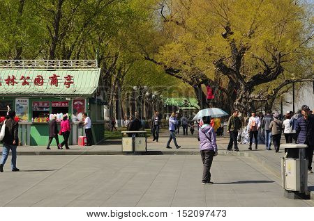 May 4 2016. Harbin China. Chinese tourists near the Harbin Flood control monument along the Songhua River in Harbin China on a sunny day in Heilongjiang province.