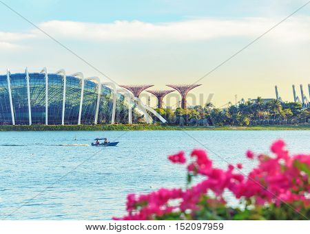 Singapore, Republic of Singapore - May 4, 2016: motorboat crossing Marina Bay. Cloud garden and supertrees grove fviewed from Marina East park with flowers on foreground