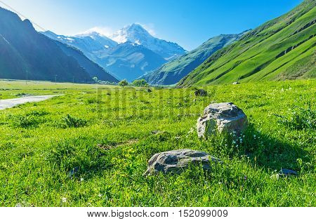 The boulders in a fresh and juicy meadow with the showy peak of Kazbek Mount on the background Kazbegi Georgia.