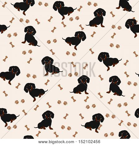 Dogs Dachshund Vector Seamless pattern. Dog Dachshund, bone, paw print