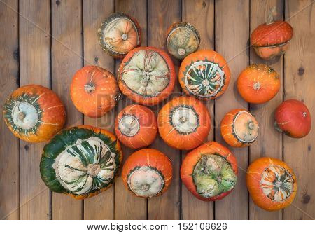 Assorted pumpkins on wooden boards with an shinning backdrop