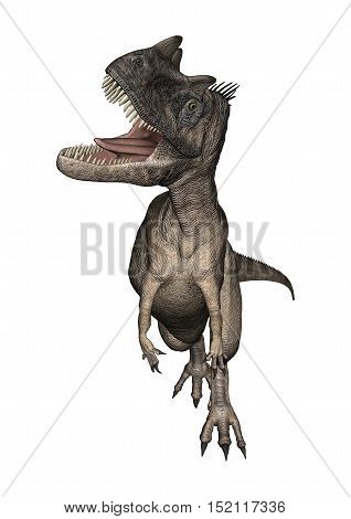 3D Rendering Dinosaur Ceratosaurus On White