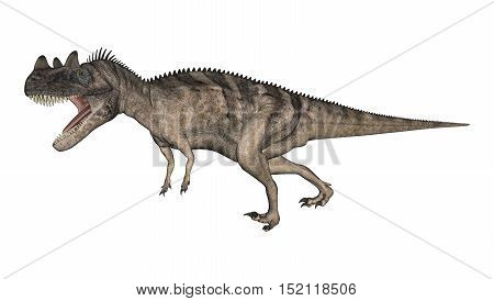 3D Rendering Dinosaur Ceratosaurus On White