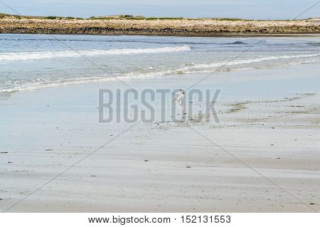 Sunny Beach In Brittany