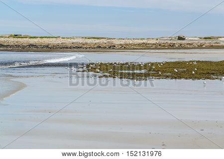 Sunny Beach In Brittany