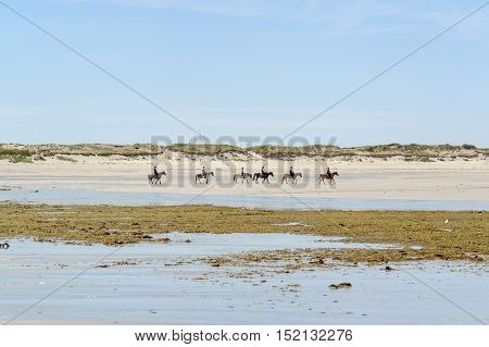 Sunny Beach In Brittany