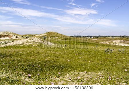 Sunny Beach In Brittany