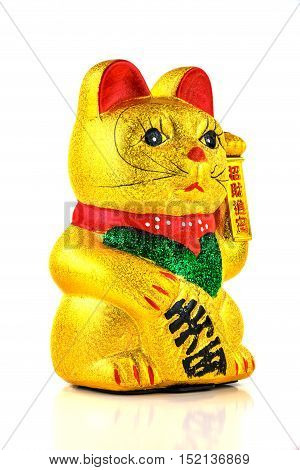 Welcoming Cat studio shot of maneki neko with white background