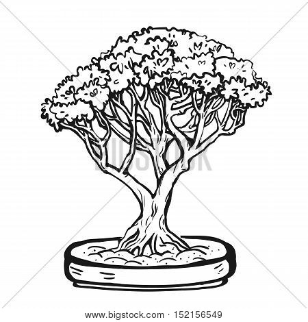 Bonsai_all