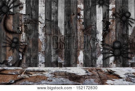 Halloween background and texture with black spider