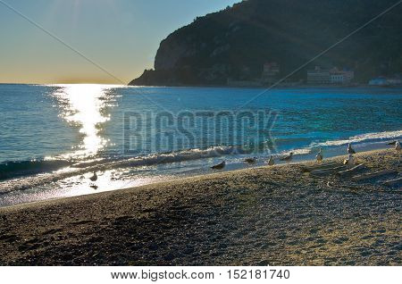 fishermen's arrival on the coast at dawn after a night of fishing with the sun kissing the sea