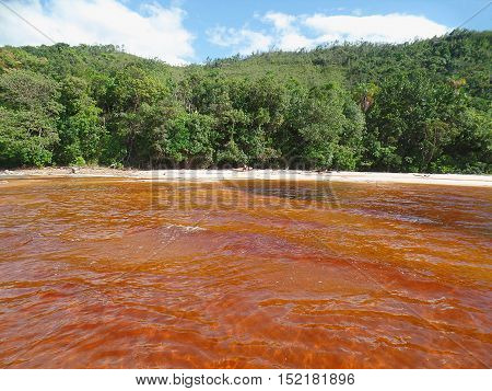 Red water. Exotic landscape with high contrasts of red water and the green of the jungle. Canaima Lagoon, Venezuela