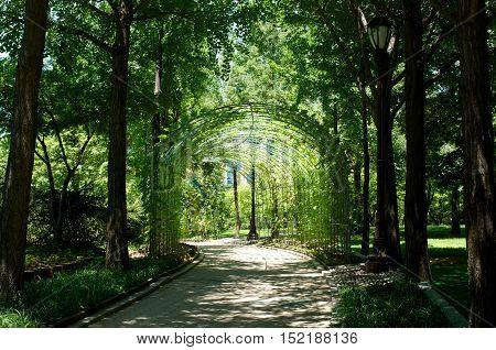 Yeouido Park In Seoul In Summer, South Korea