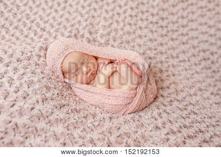 lovely newborn curled up asleep, wrapped in pink diaper on knitted blanket