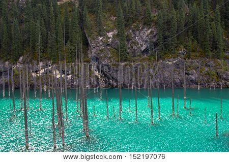Kaindy Lake in Tien Shan mountain system Kazakhstan
