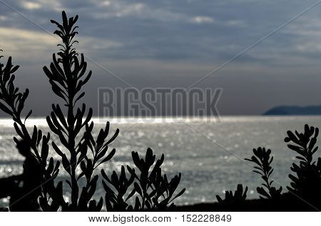 sea landscape with sun reflecting in the waves giving dreamy atmosphere