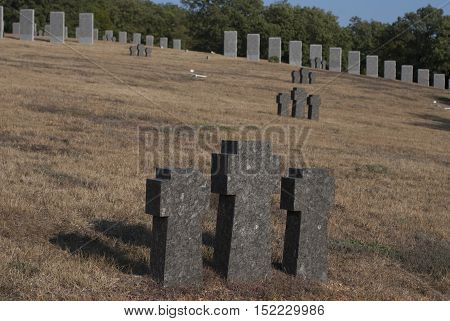 grave crosses on a hillside in the park