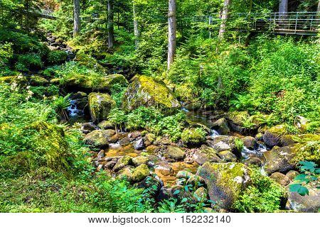 The Gutach river at the foot of Triberg Falls in Germany, Baden-Wurttemberg