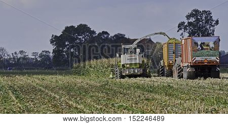 YSBRECHTUM, THE NETHERLANDS - OCTOBER 12, 2016: The final stretch of the maize harvest. A Claas chopper, a loaded and an empty silage wagen with advertisement on back.