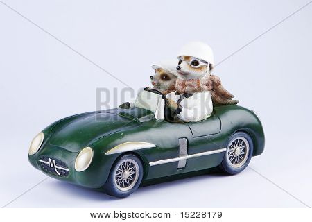 Poserar Meerkat statyett