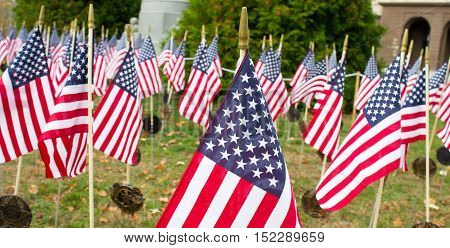 Red White and Blue American Flags Flying in a Field.