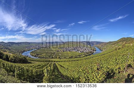 Moselle River Loop In Trittenheim, Germany.